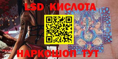 эйфоретик Кузнецк