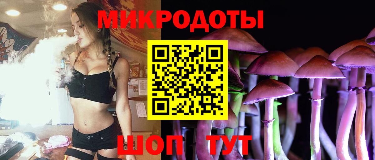 Галлюциногенные грибы Psilocybe Вятские Поляны